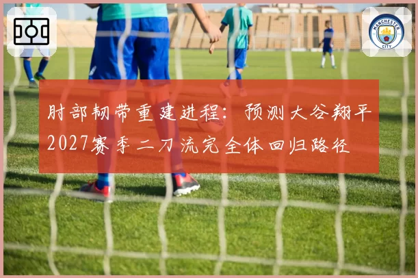 肘部韧带重建进程：预测大谷翔平2027赛季二刀流完全体回归路径